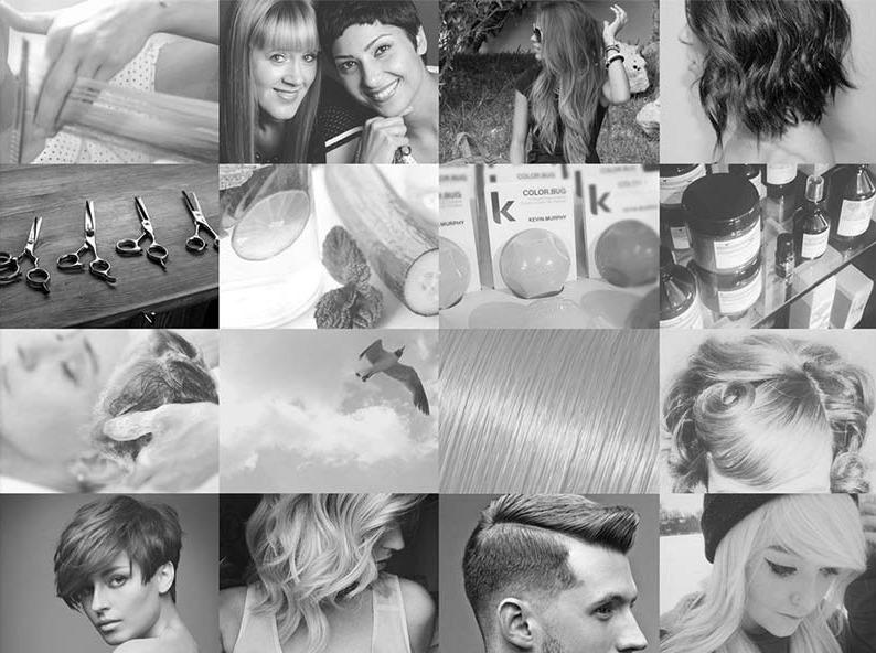 Images Poza Salon