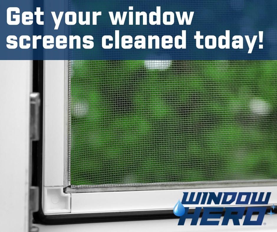 Window Hero Charlotte Image