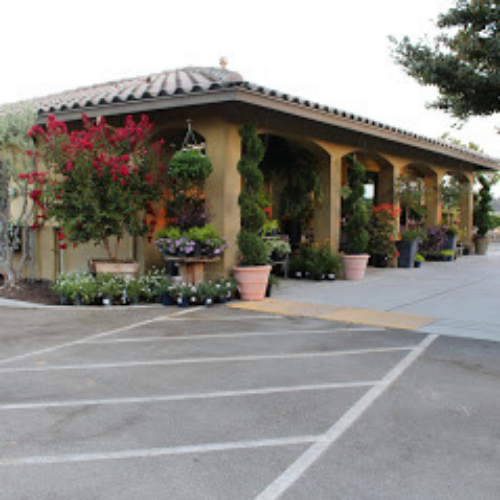 Frantz Wholesale Nursery, LLC, 12161 Delaware Road, Hickman, CA, Garden