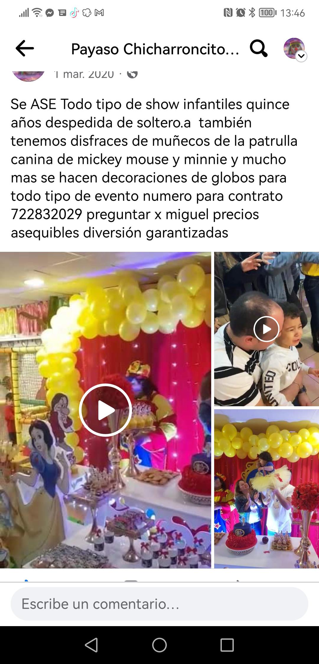Galería en miniatura