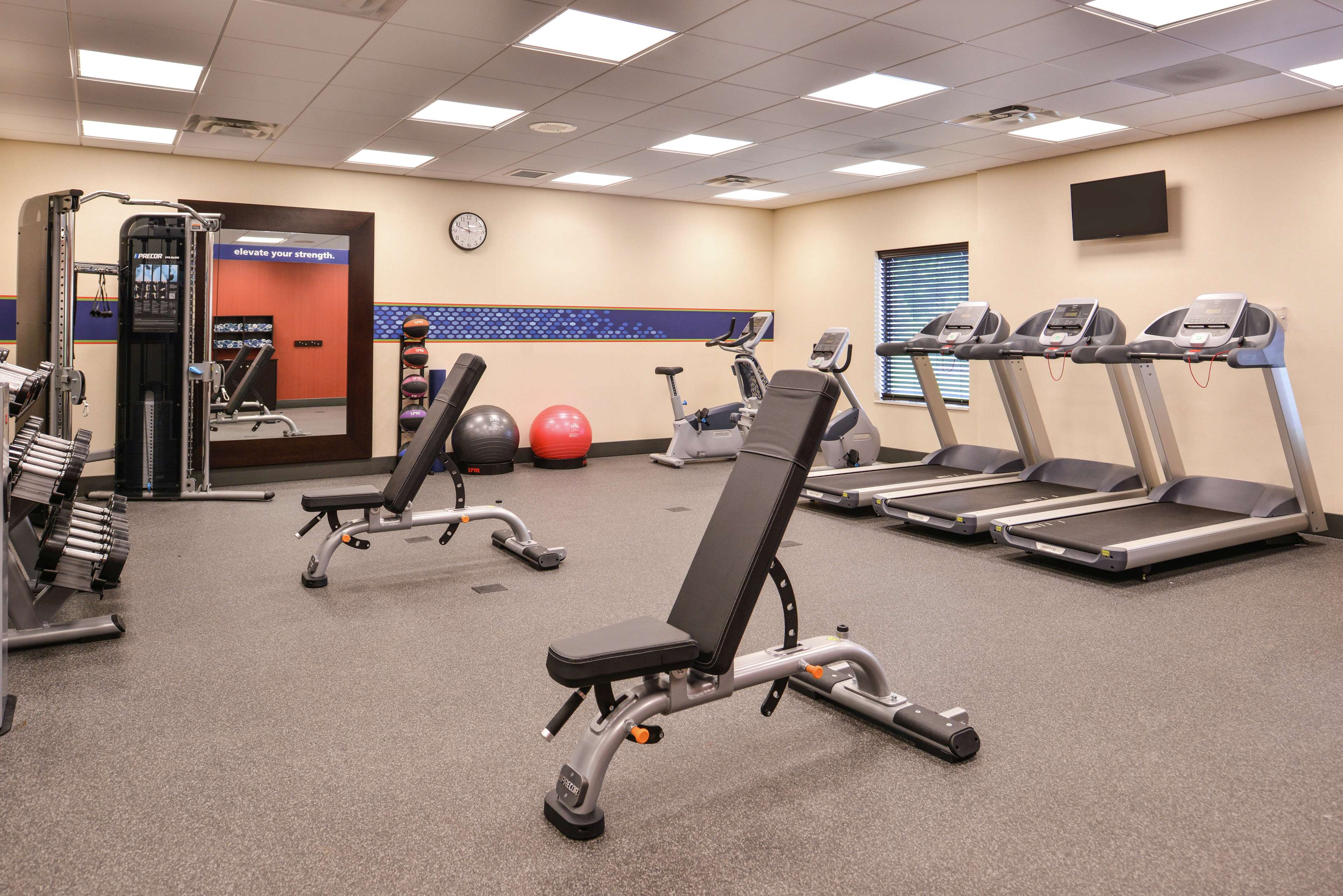 Health club  fitness center  gym