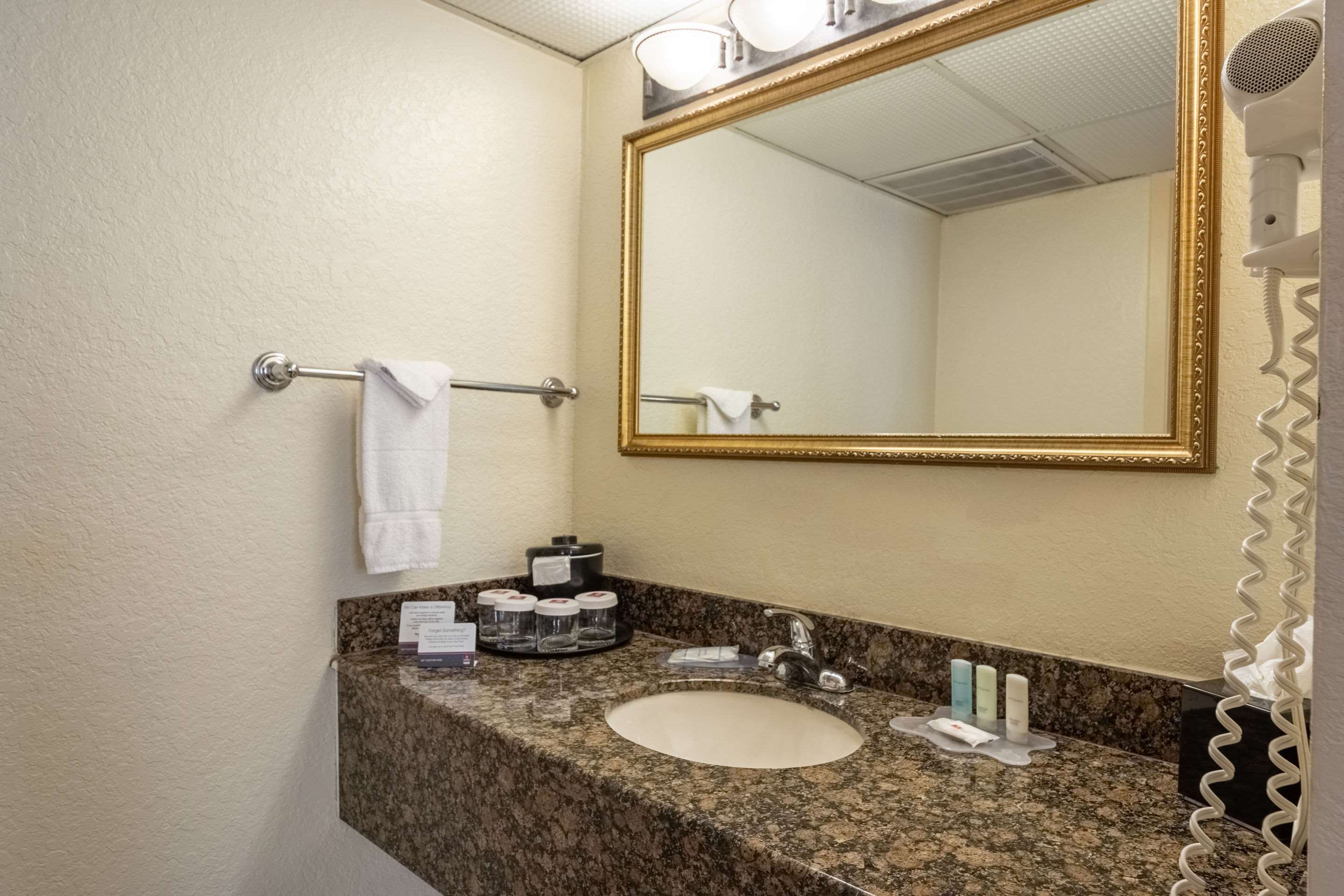 Clarion Inn & Suites Clearwater Central Photo