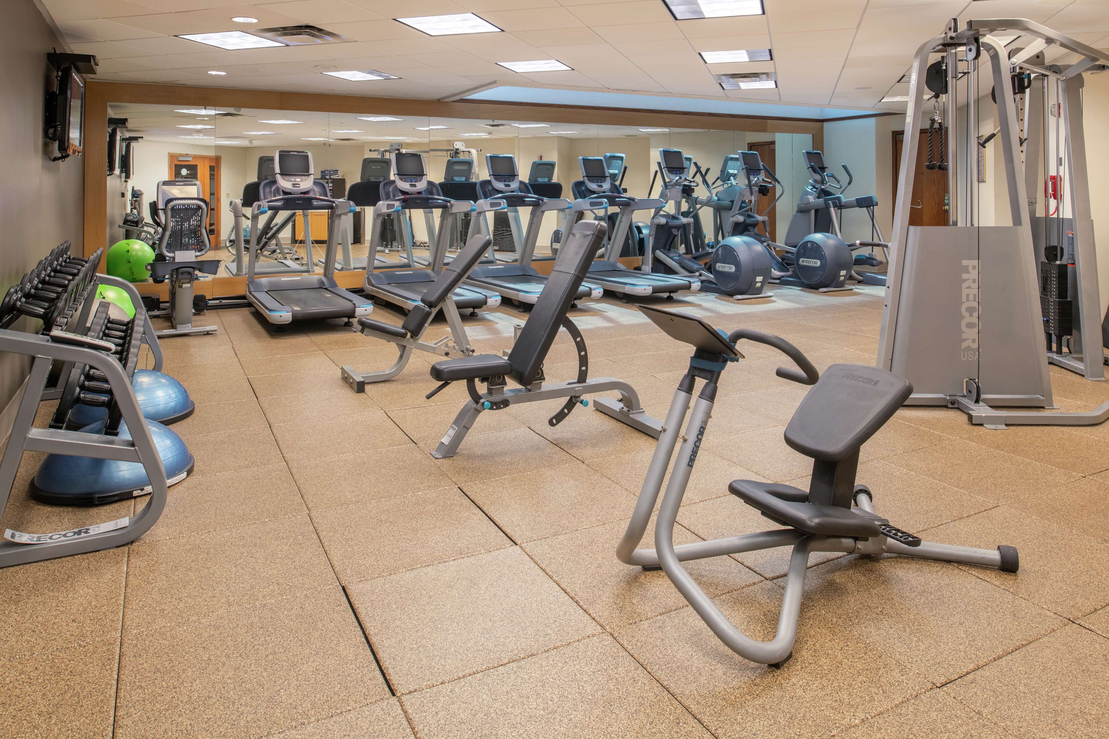 Health club  fitness center  gym