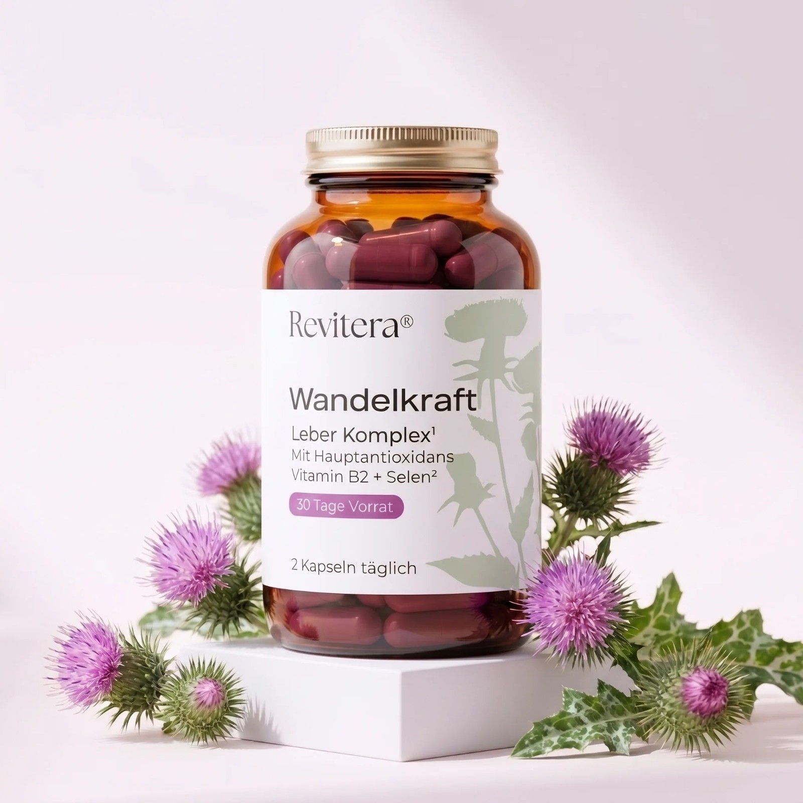 Wandelkraft liver complex, 1 jar (30 days)