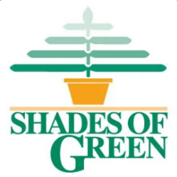 Shades Of Green
