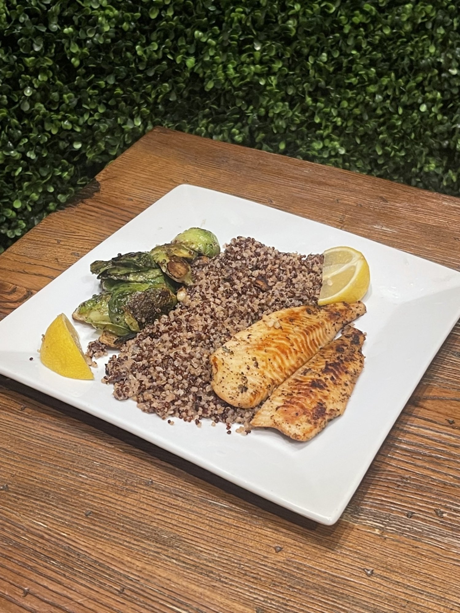Lemon Sole