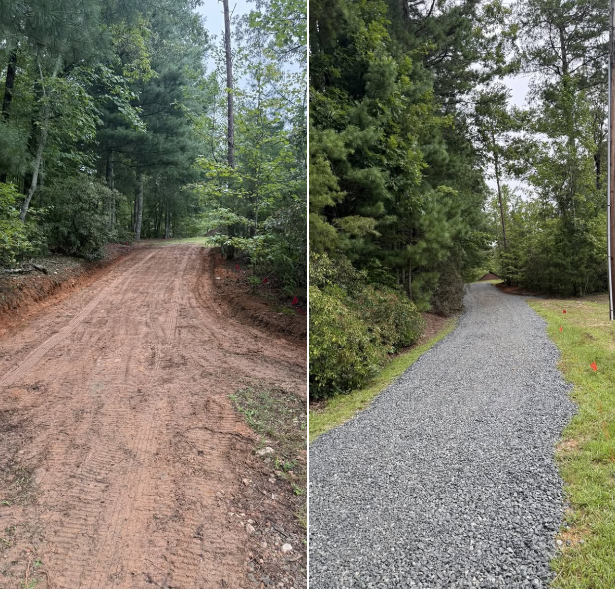 Fresh Start Landscape Image