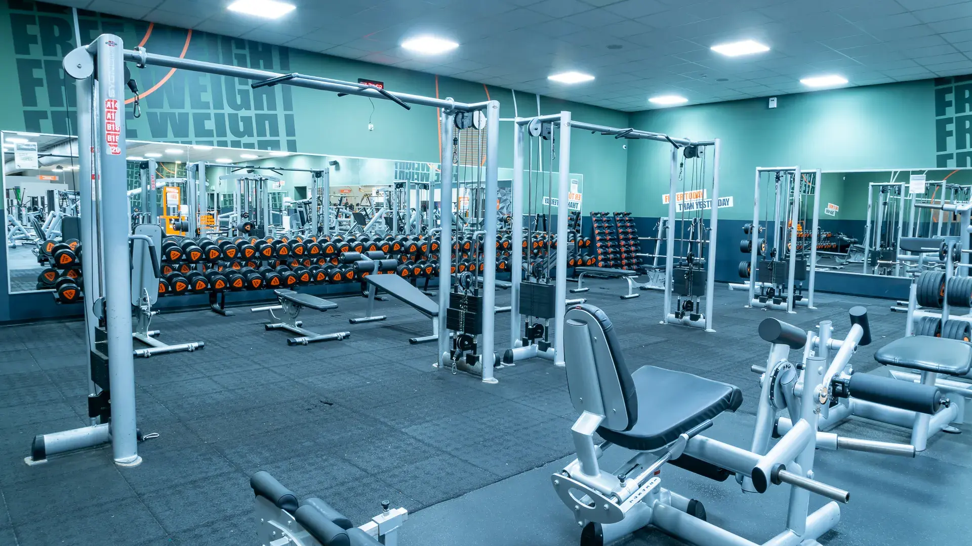 Galería de imágenes