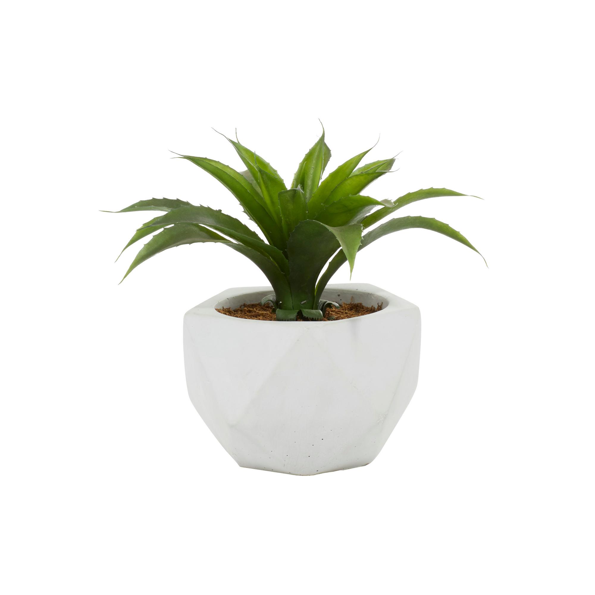 White Artificial Plant