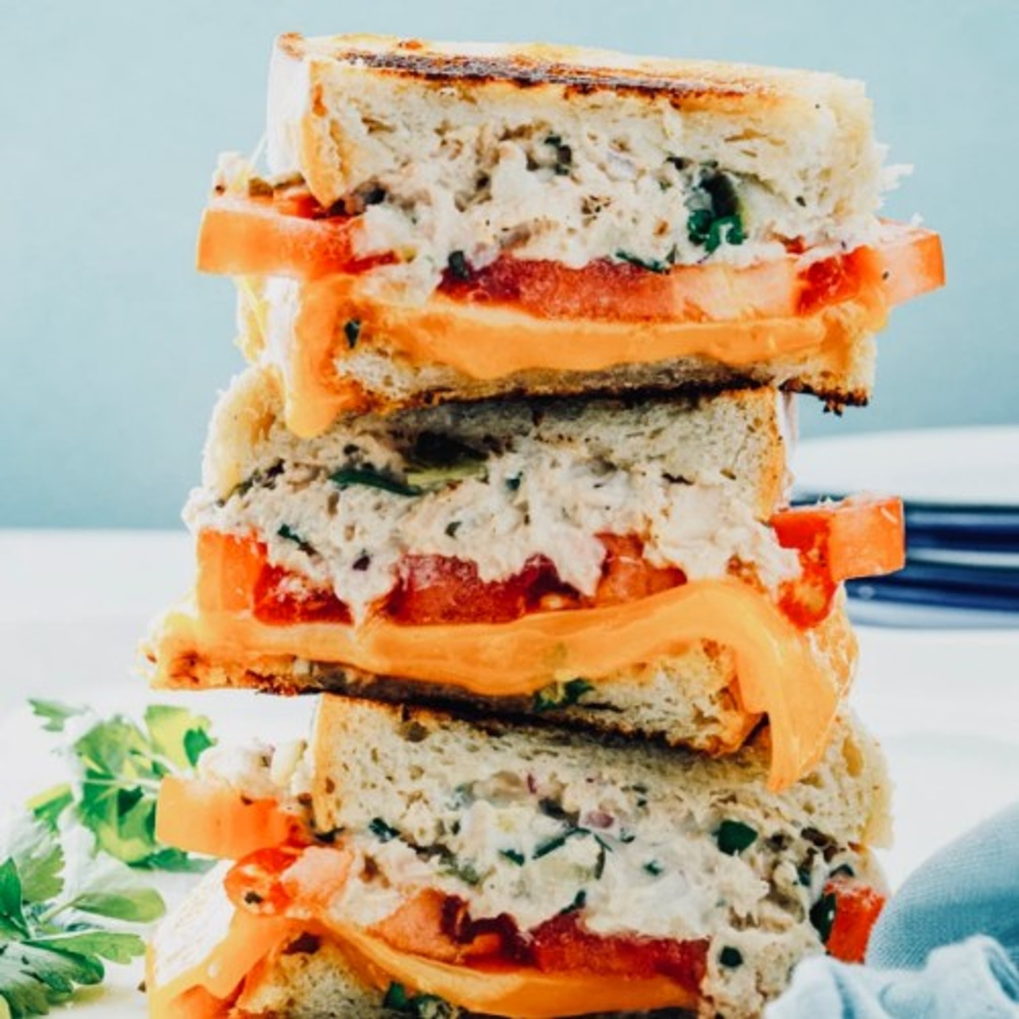 Tuna Melt Sandwich