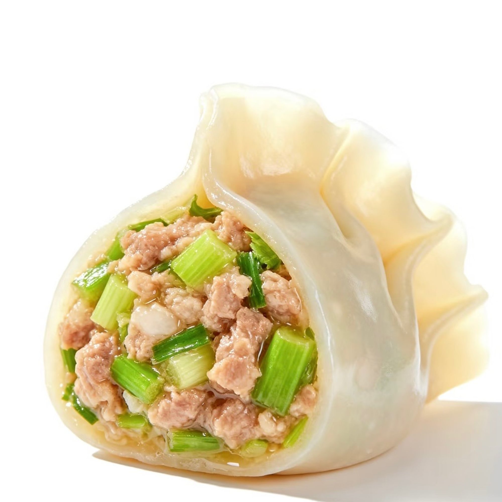 Pork and Scallion Fried Dumplings
