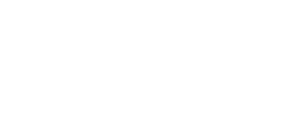 Nephrology Associates Access Center Logo