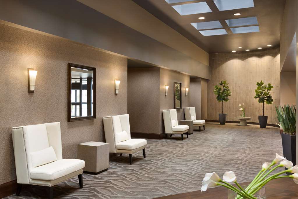 Hilton Greenville Image