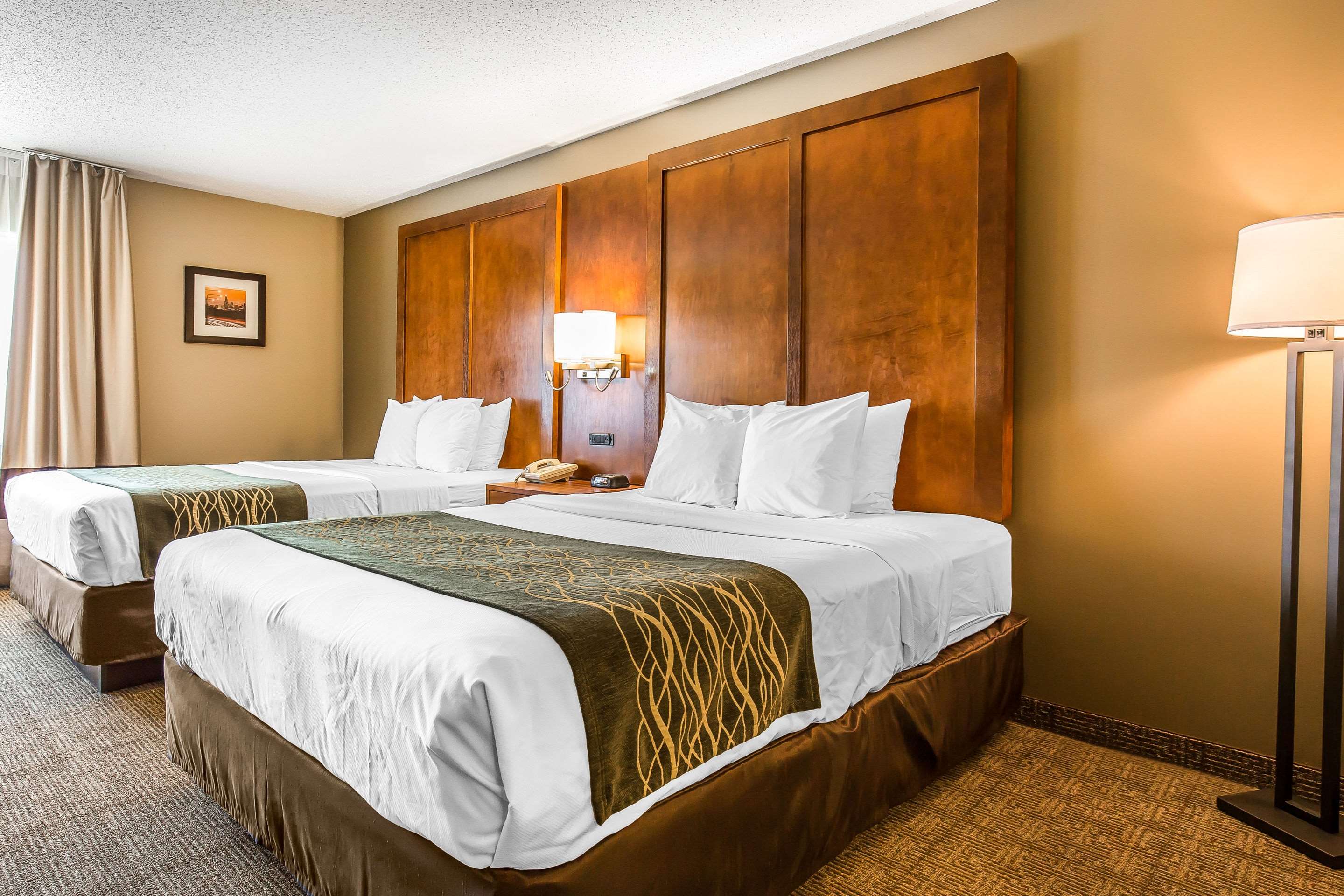 Comfort Inn Romeoville - Bolingbrook Photo