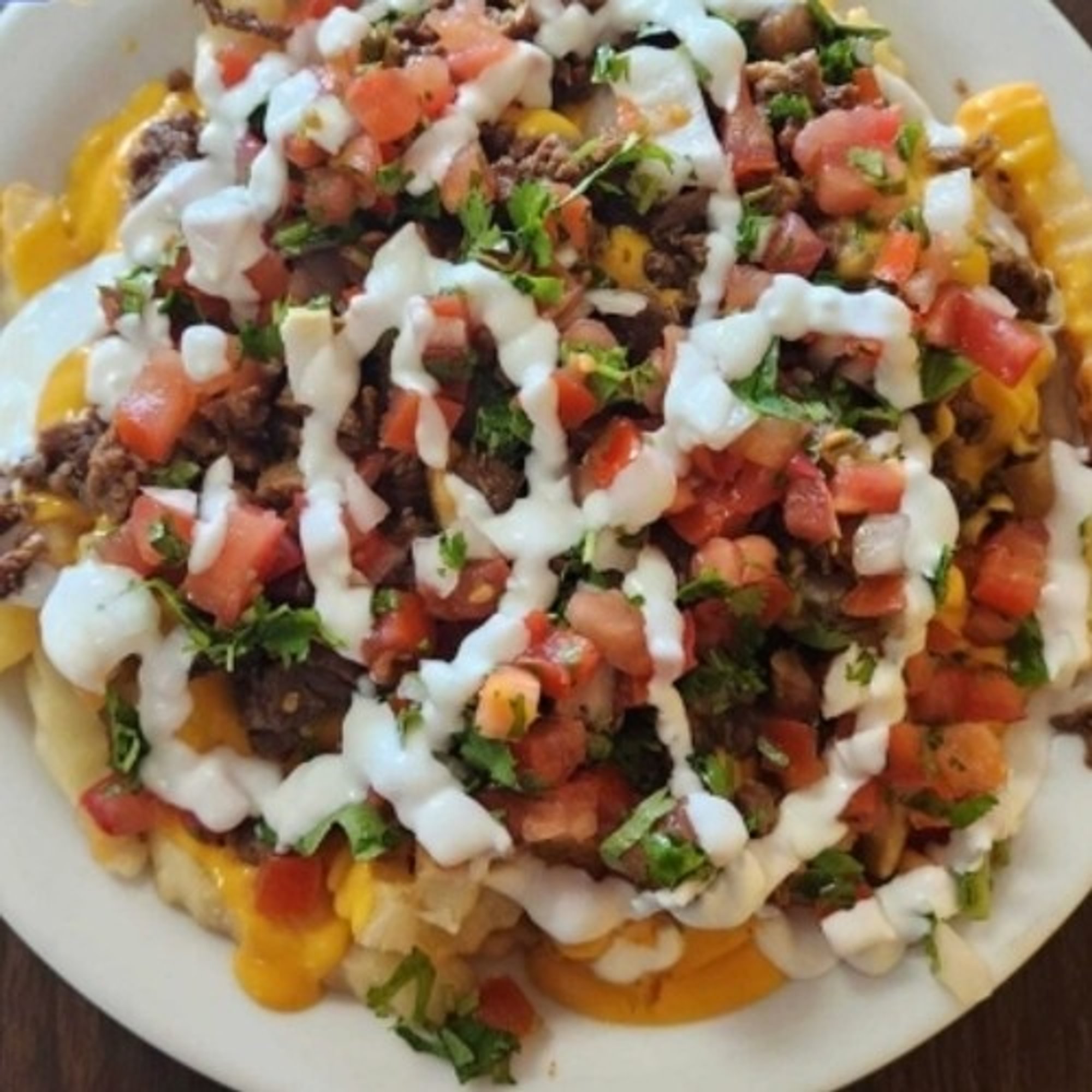 Nacho Fries Plate