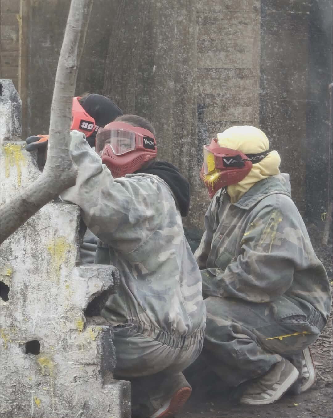 Miniature de la galerie