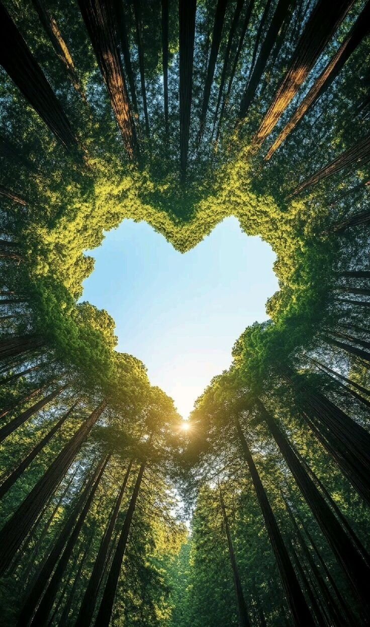 Eco-Freaks-Cleaning-Co Image