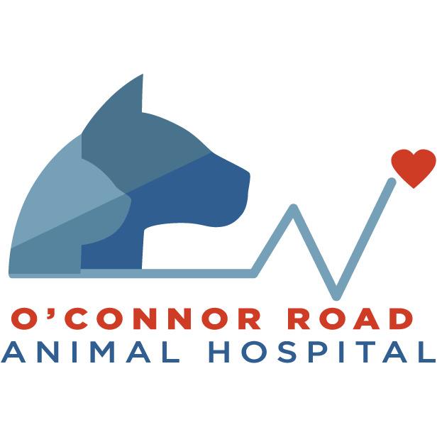 O'Connor Road Animal Hospital Photo