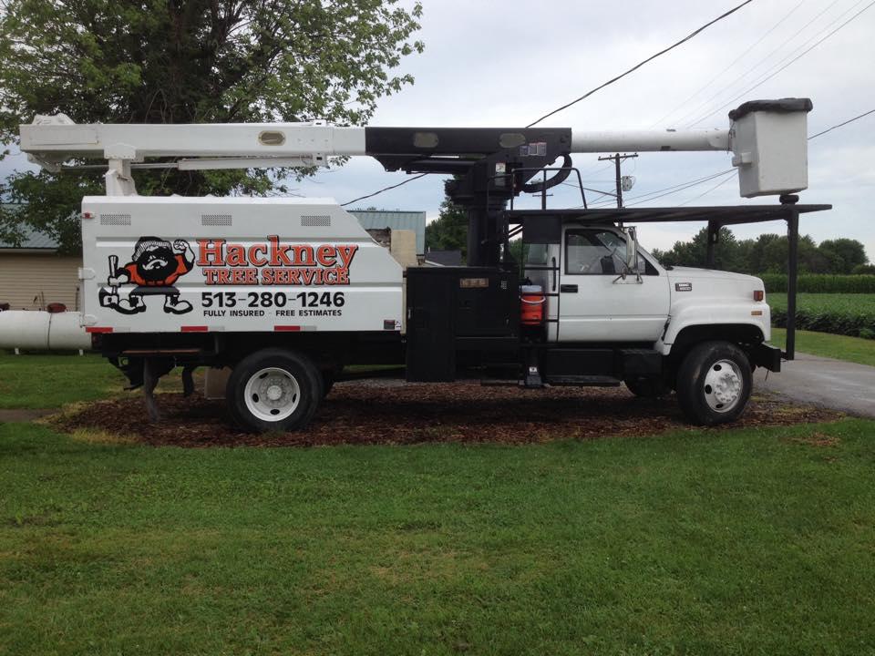 Hackney Tree Service Image