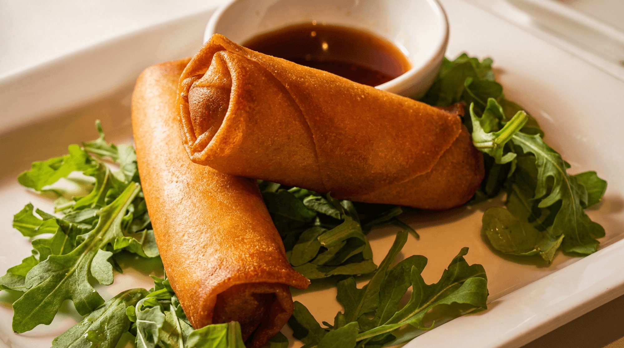 Vegetable Spring Rolls