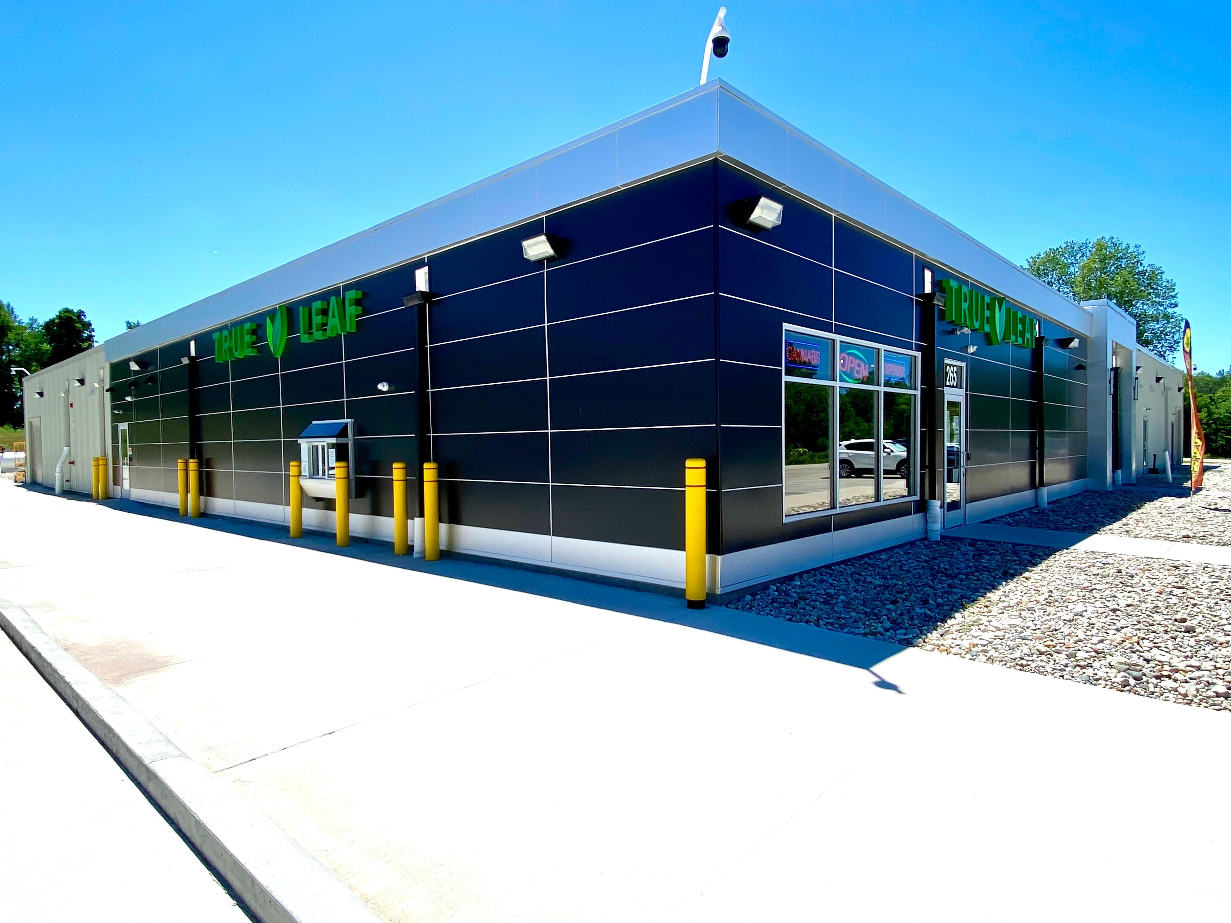 True Leaf Cannabis Shop Logo