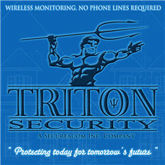 Images Triton Security