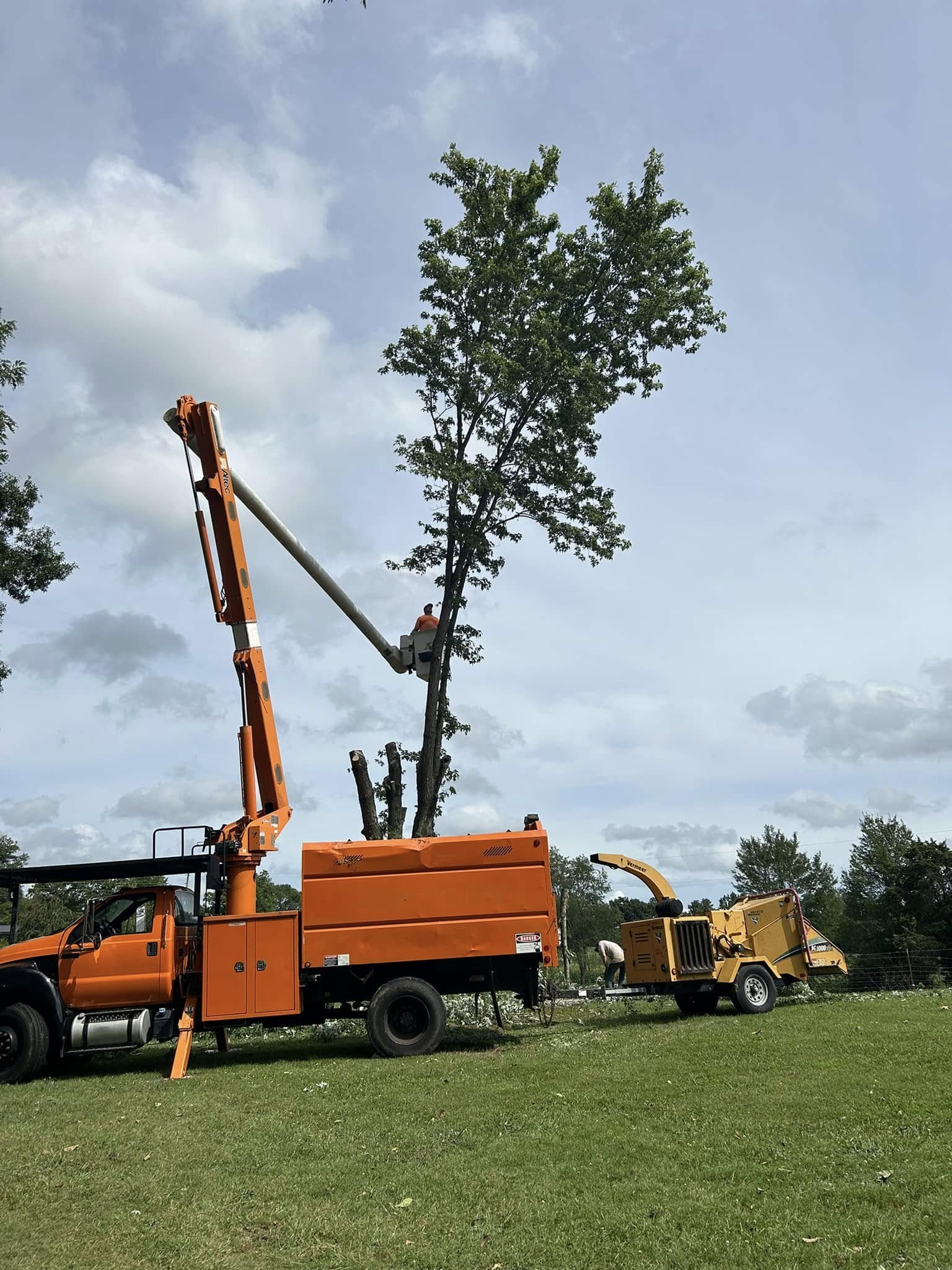 Area Tree Service LLC Image