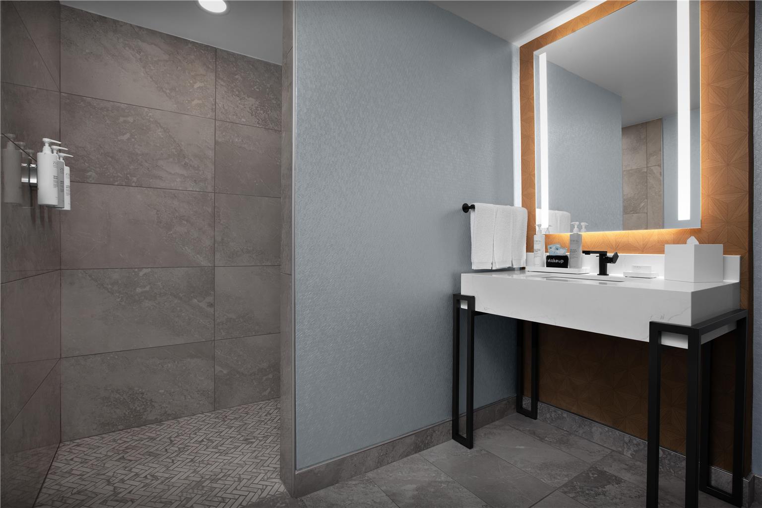 Embassy Suites by Hilton Jackson North Ridgeland Image