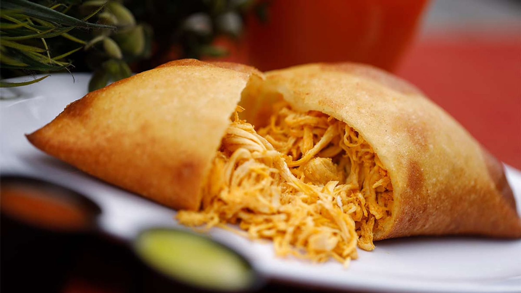 Chicken Empanada