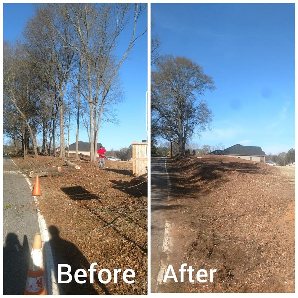 ALPHA TREE CARE LLC Image