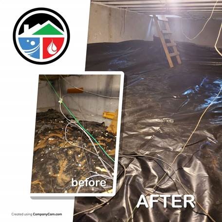 Executive Pro-Dry Water, Sewage & Mold Remediation Photo