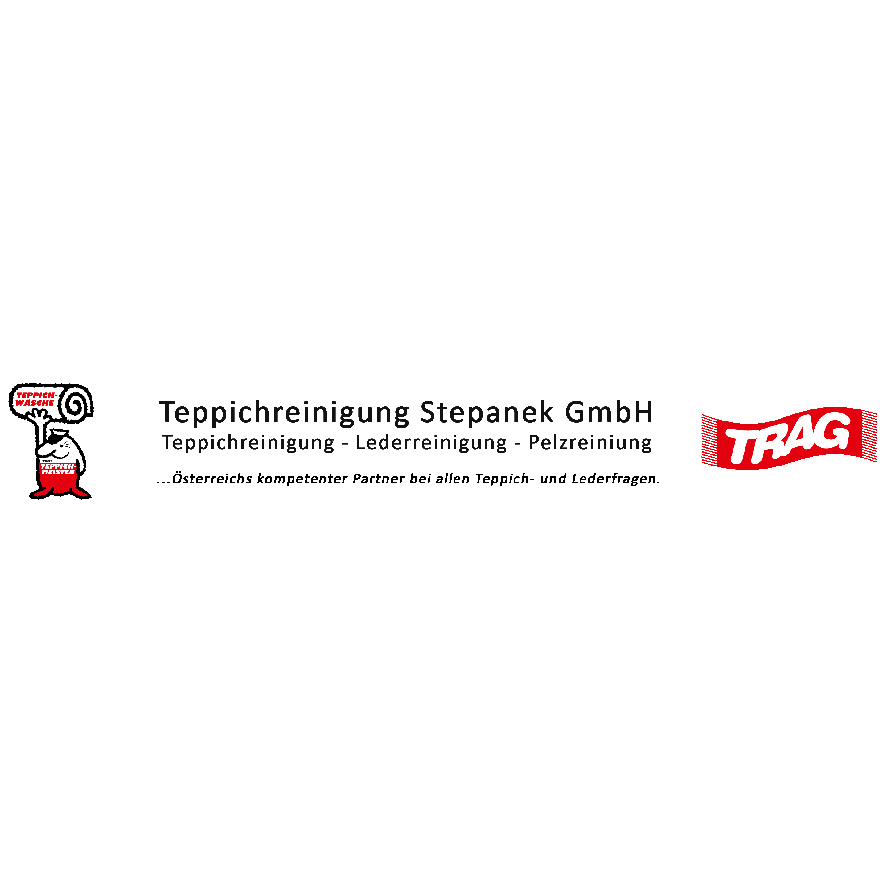 Logo von Teppichreinigung Stepanek GesmbH