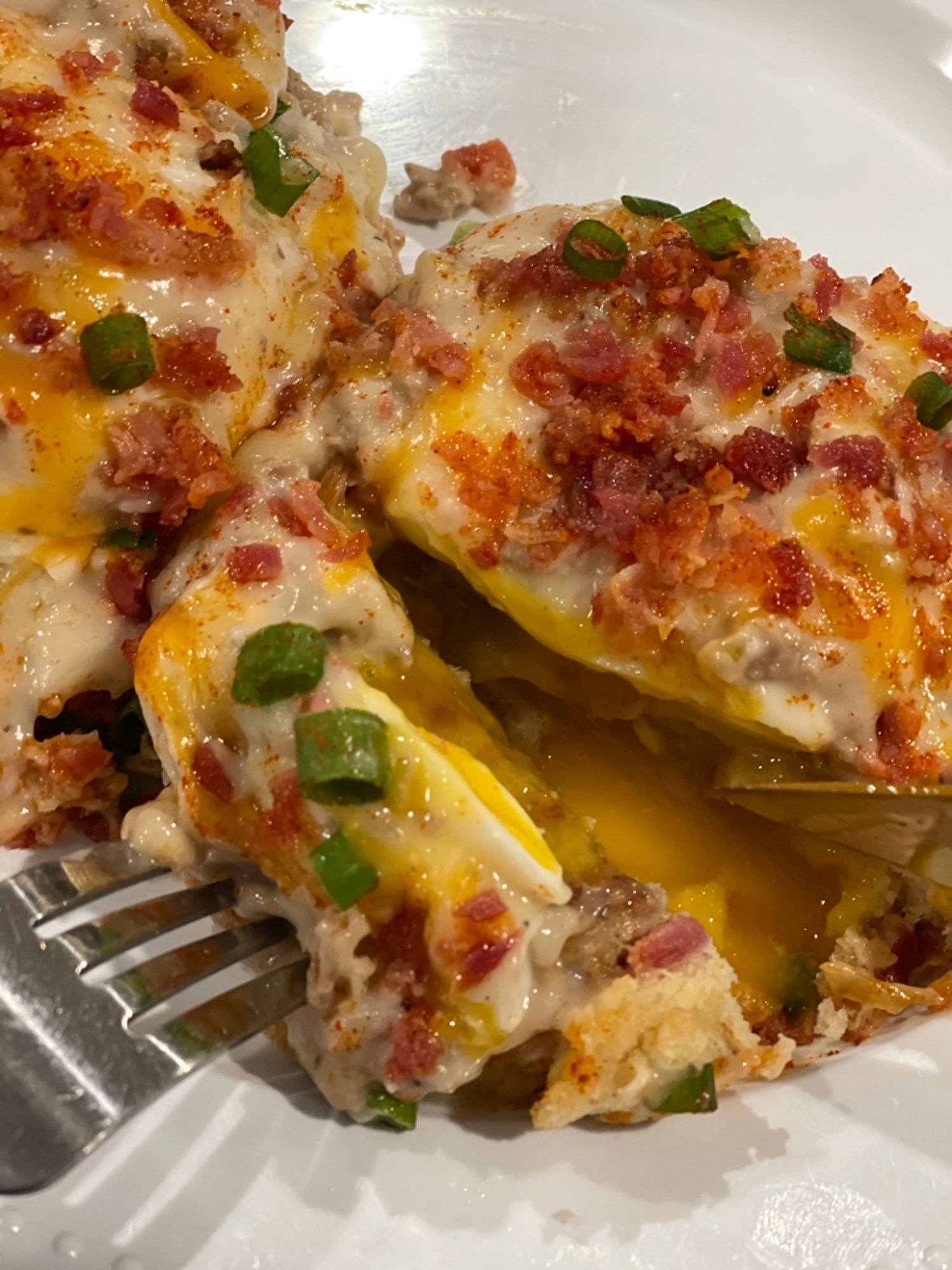 SSC’S COUNTRY BENEDICT