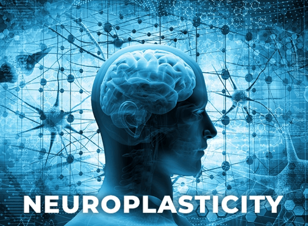 Shea Shulman Therapy Image