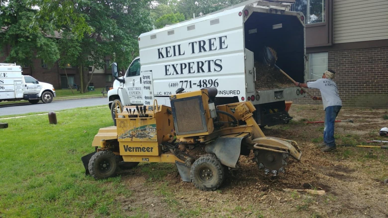 Keil Tree Experts Inc Image