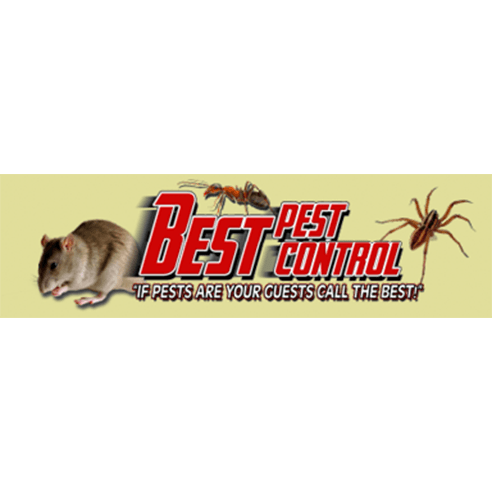 Best Pest Control Photo