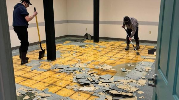 Advanced Restoration and Cleaning Image