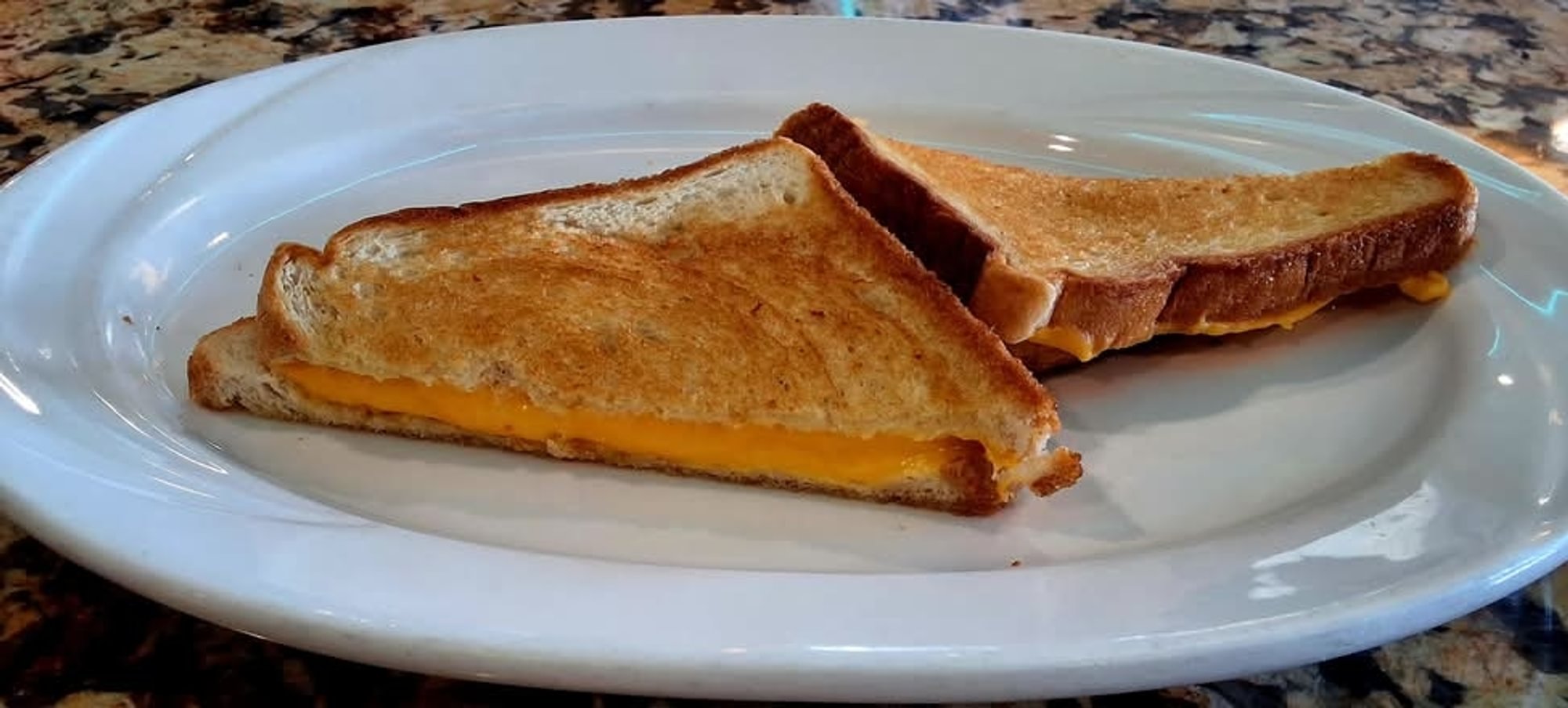 Grilled Mozzarella Cheese Sandwich