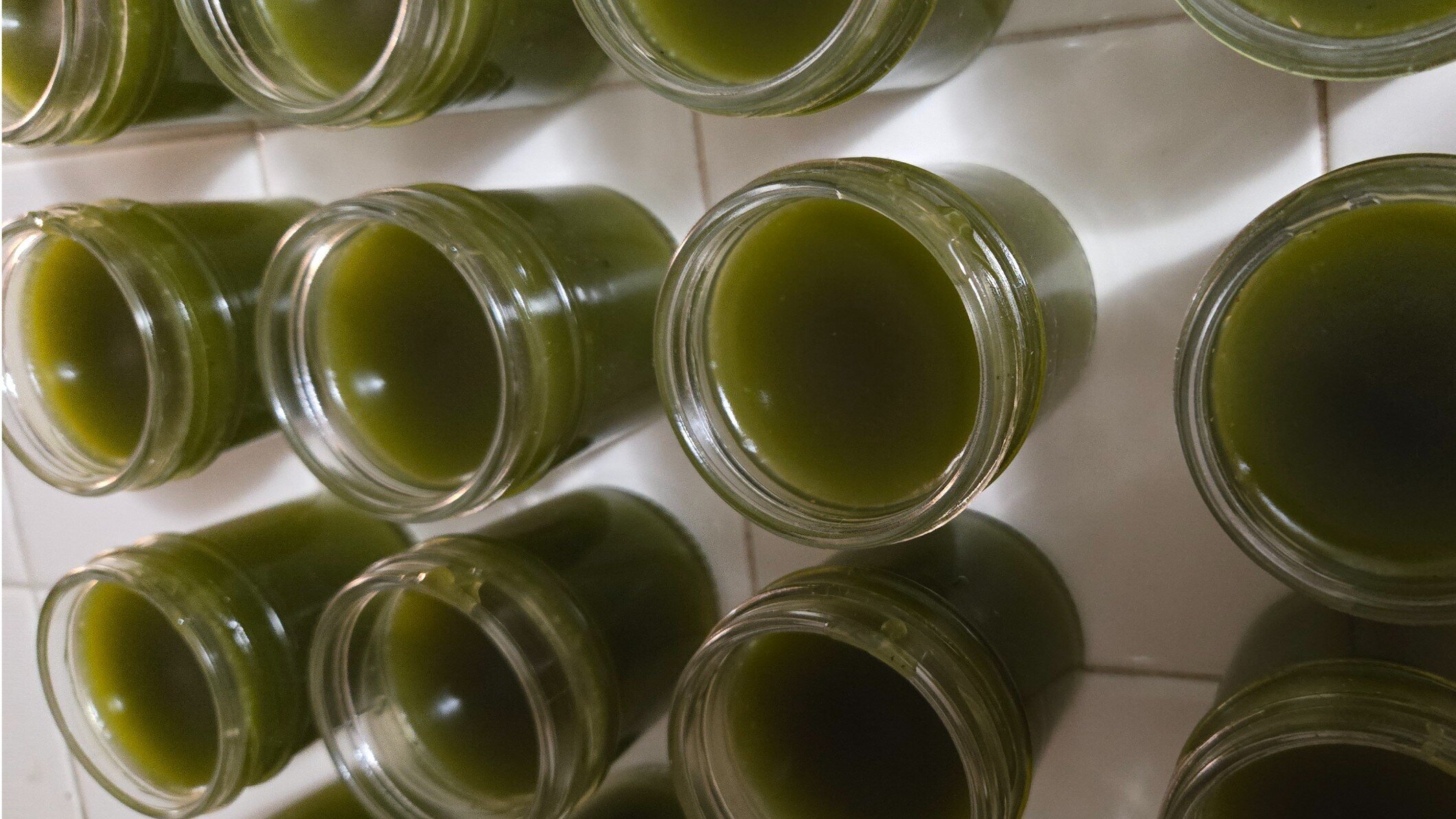 Comfrey Salve and Herbs Image