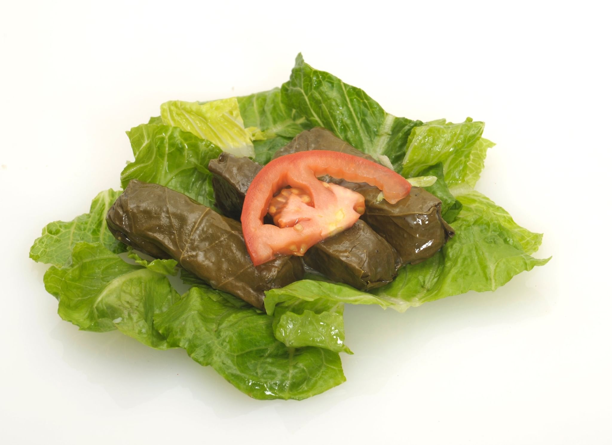 Dolmas / Grapeleaves
