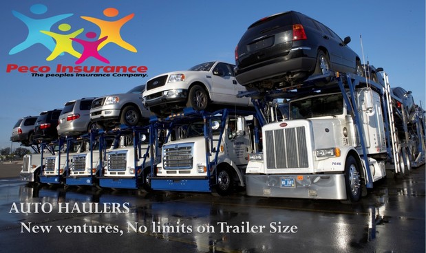 Images Peco Insurance