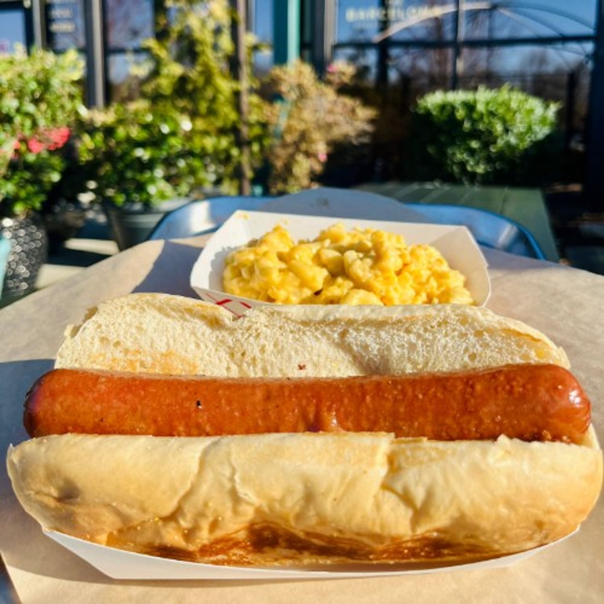 Hot Dog