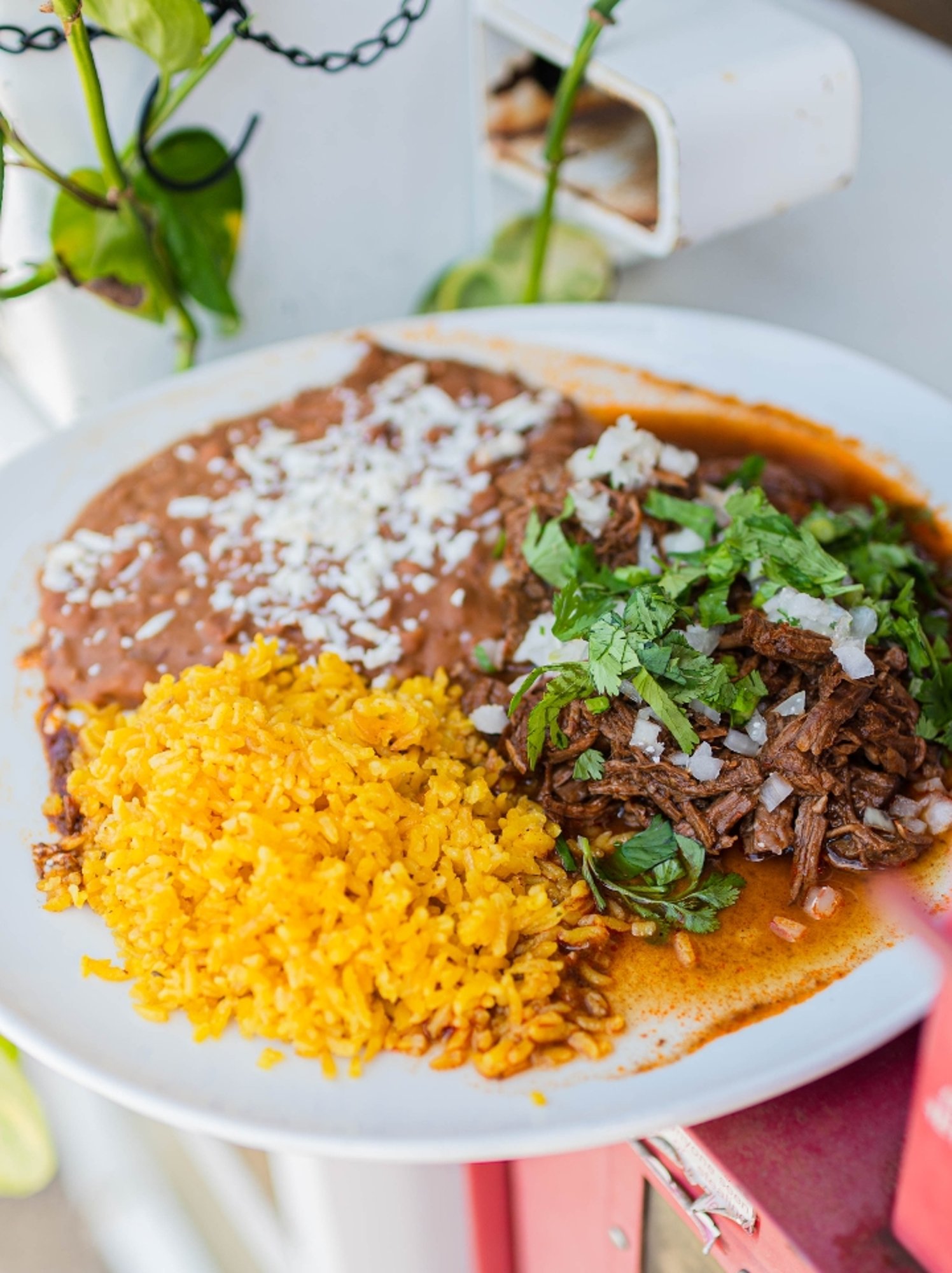 Birria de Res