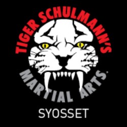 Tiger Schulmann's Martial Arts (Syosset, NY) Photo