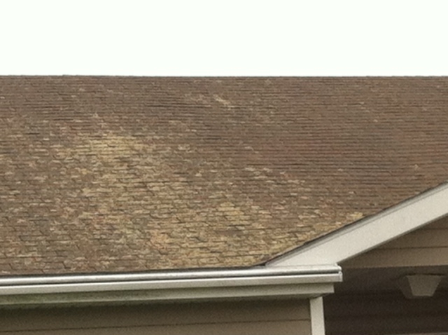 DIRTY ROOF