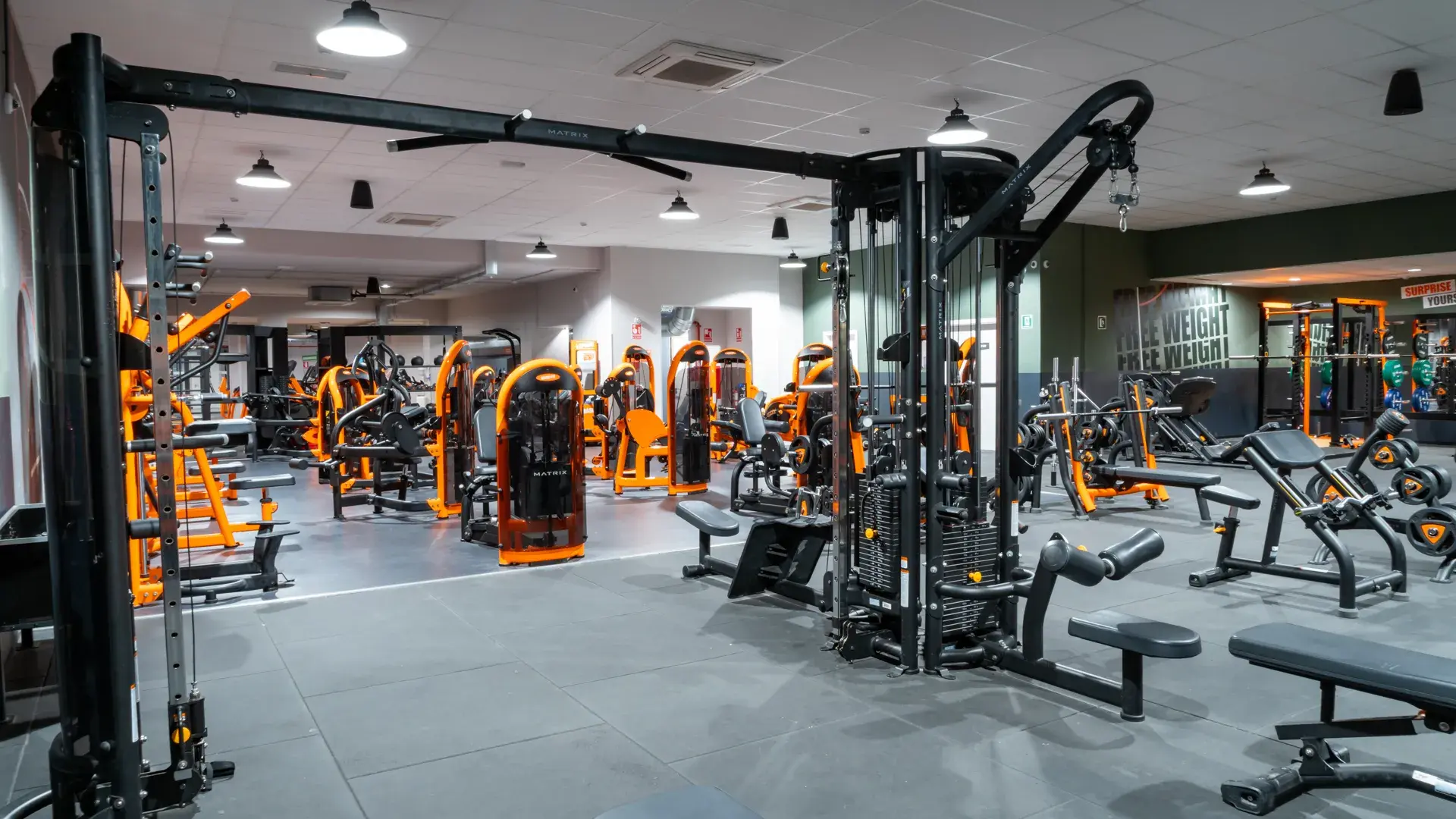 Galería de imágenes