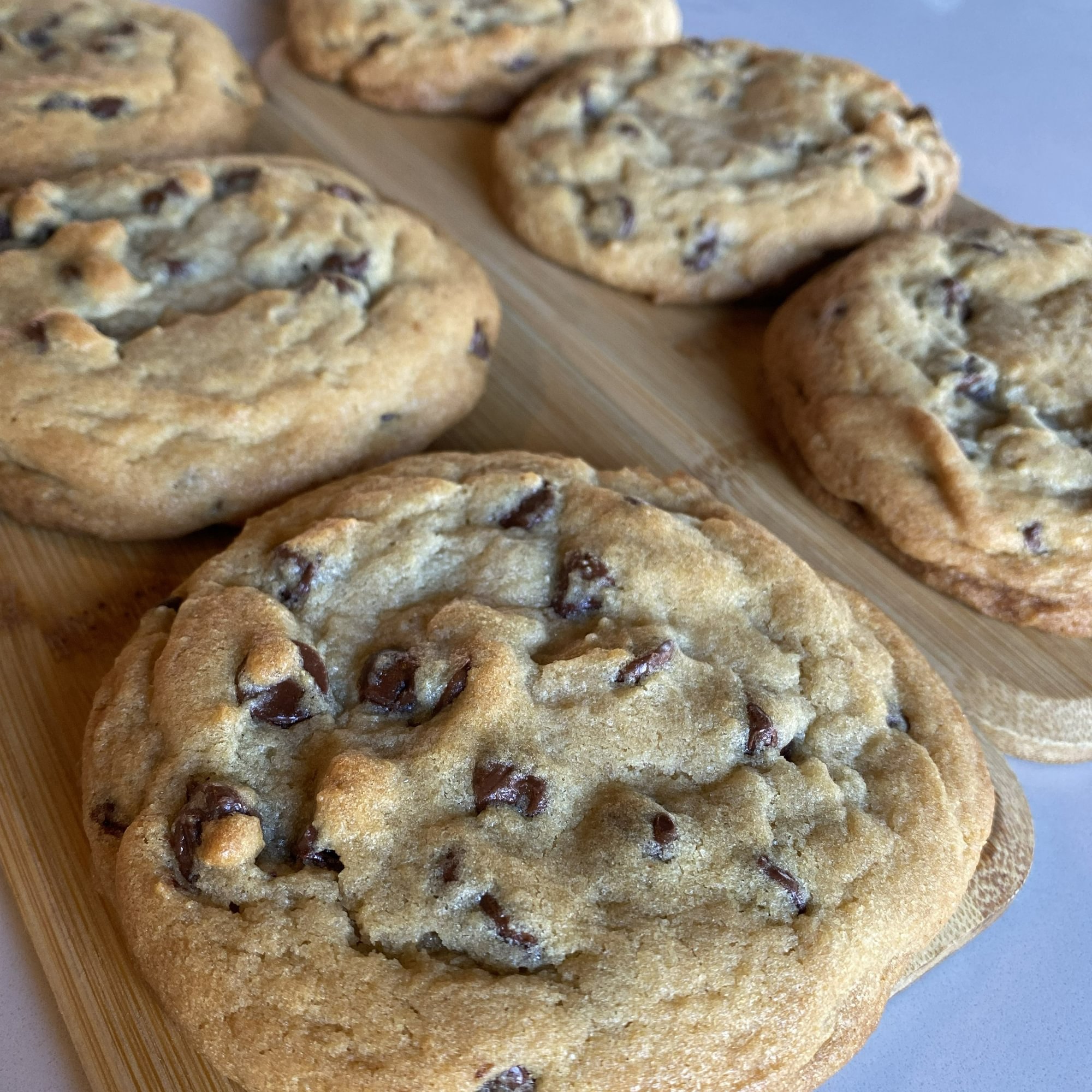 CHOCOLATE CHIP COOKIE