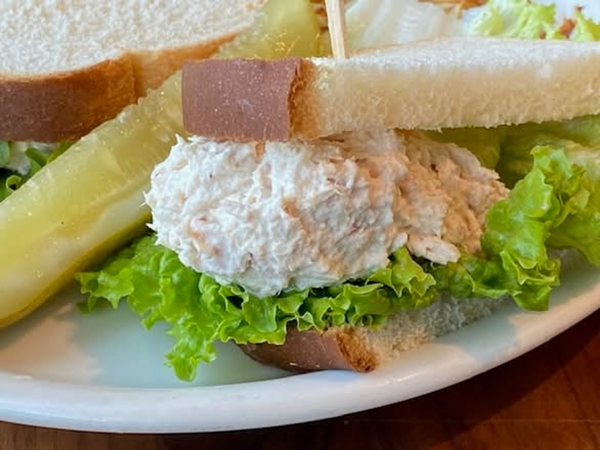 Tuna Melt Sandwich