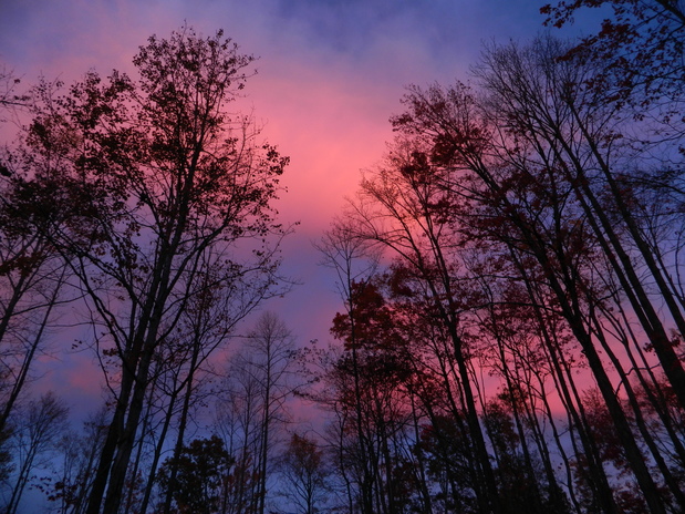Images Gatlinburg East / Smoky Mountain KOA Holiday