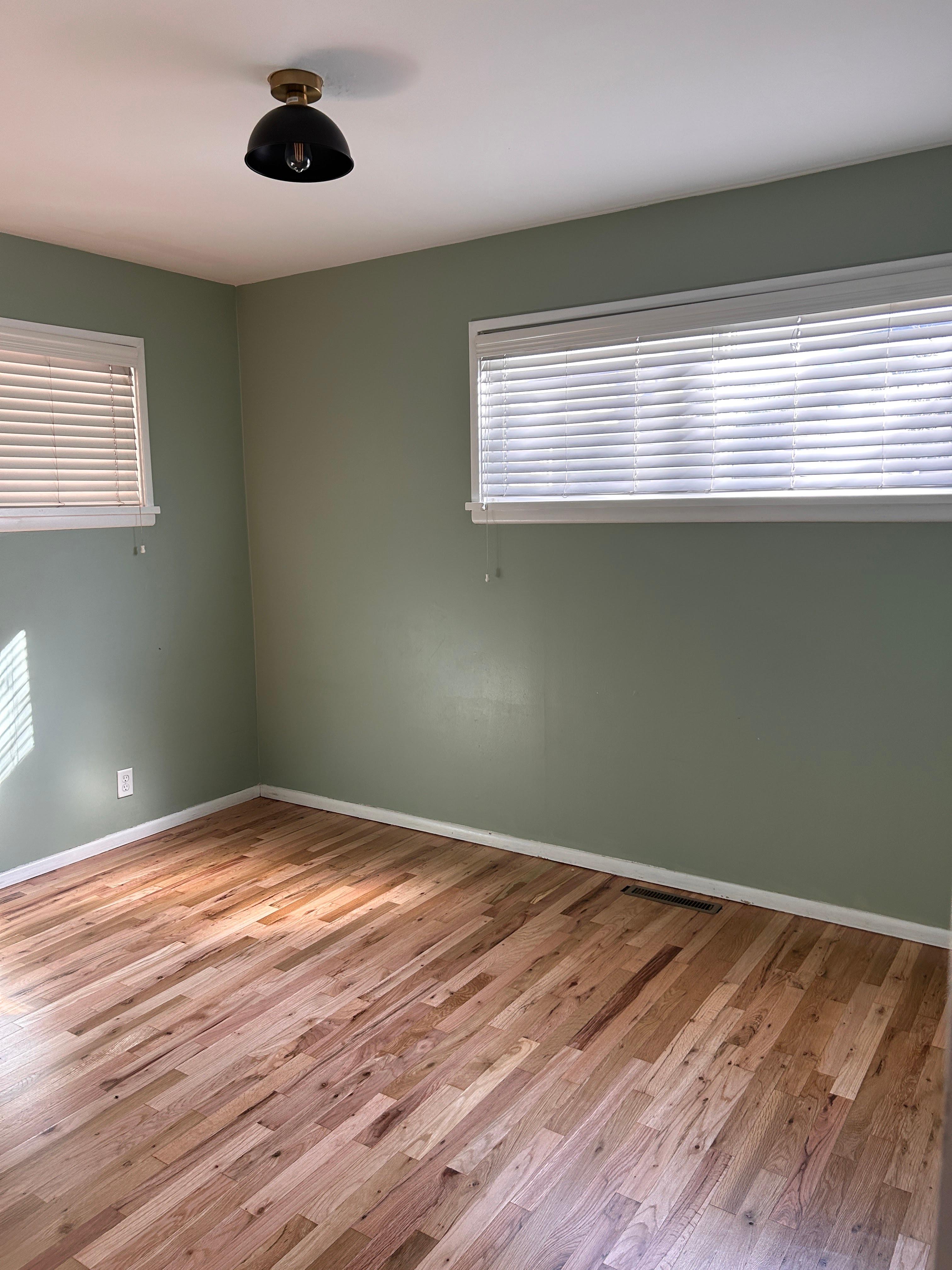 SwiftHand Painting Image